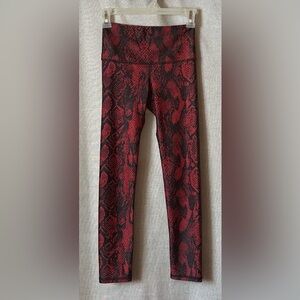 Noli Active•snakeskin animal print mid-rise leggings•XS•polyester•red/black